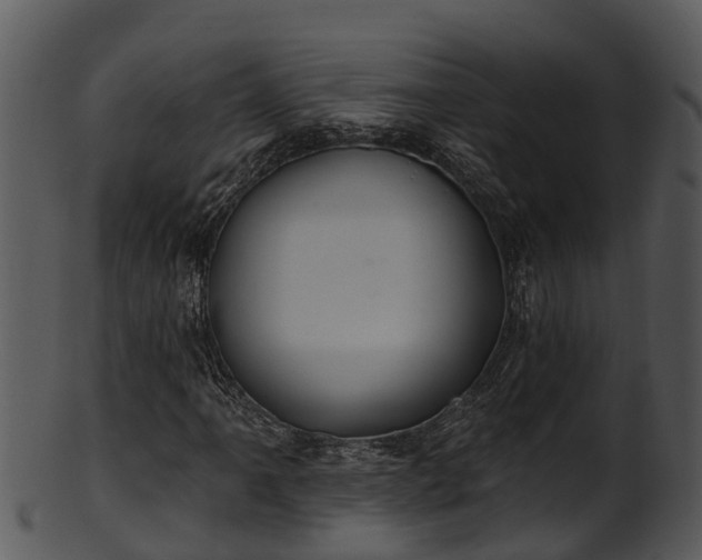 X0000101421061200807141149