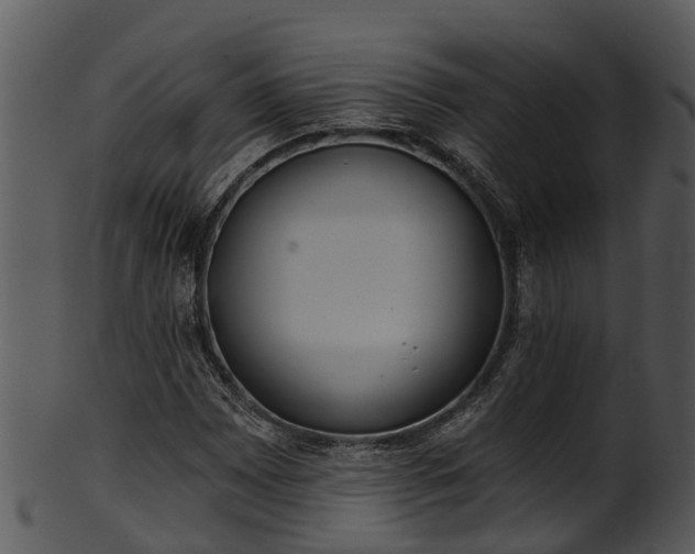 X0000101421065200807141149