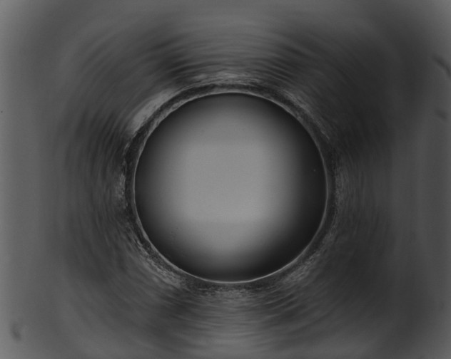 X0000101421066200807141149