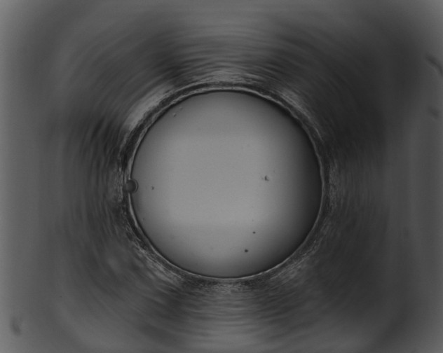 X0000101421067200807141149