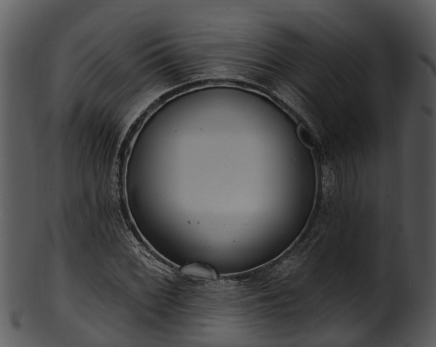 X0000101421068200807141149