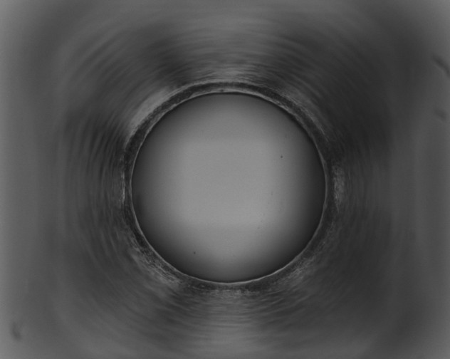 X0000101421069200807141149