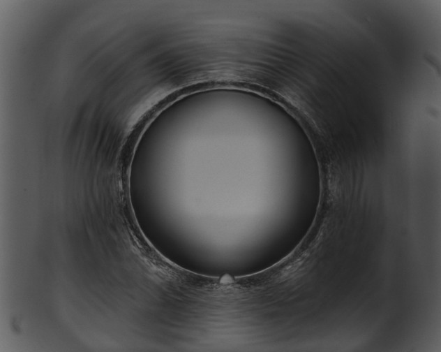 X0000101421070200807141149