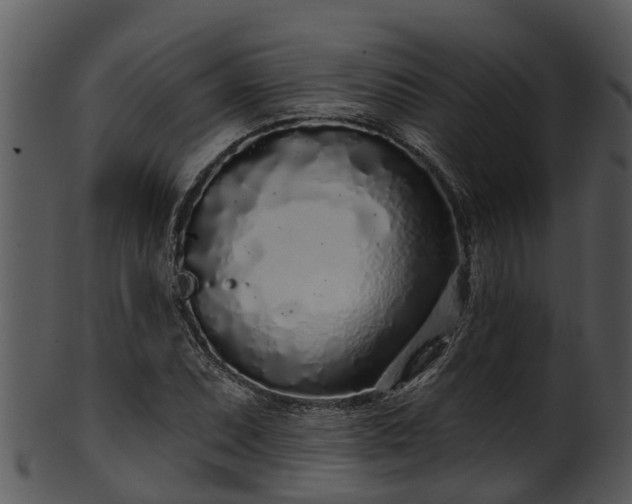 X0000101421071200807141149
