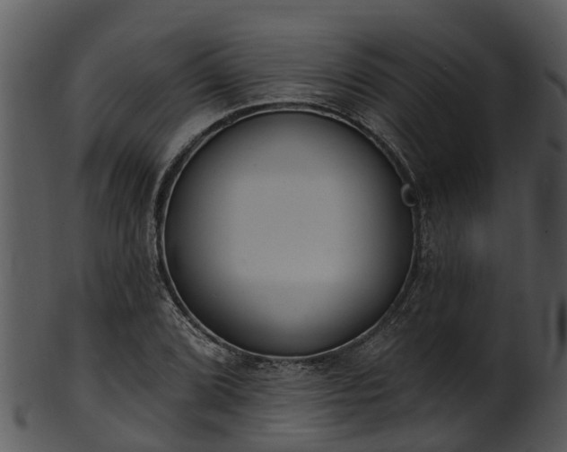 X0000101421072200807141149