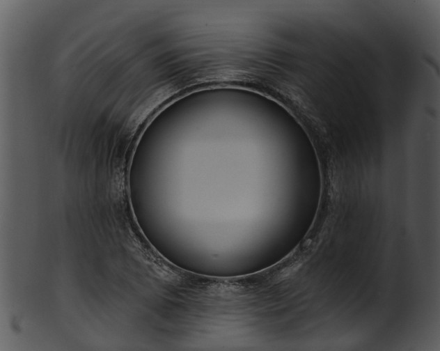 X0000101421073200807141149