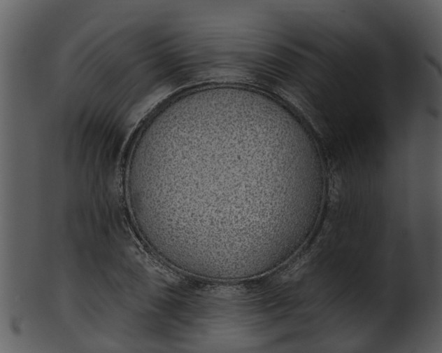 X0000101421074200807141149