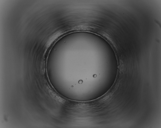 X0000101421075200807141149
