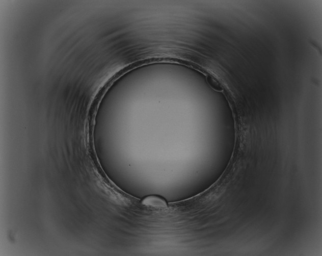 X0000101421076200807141149