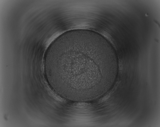 X0000101421077200807141149