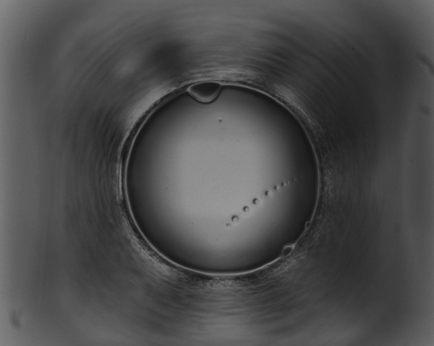 X0000101421079200807141149