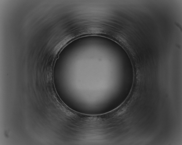 X0000101421081200807141149