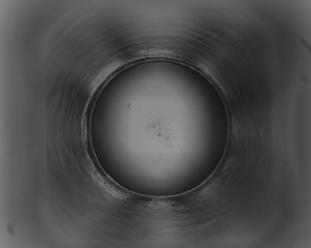 X0000101421082200807141149
