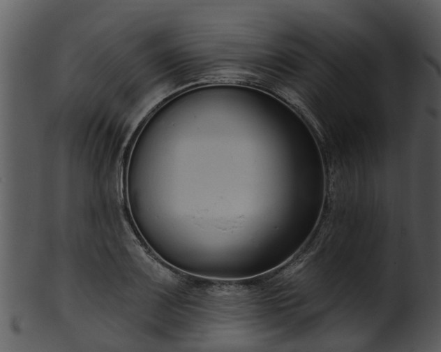 X0000101421083200807141149