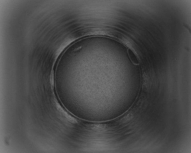 X0000101421084200807141149