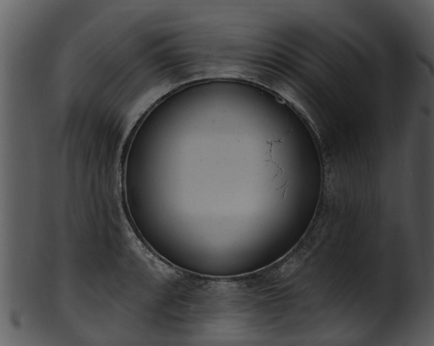X0000101421088200807141149
