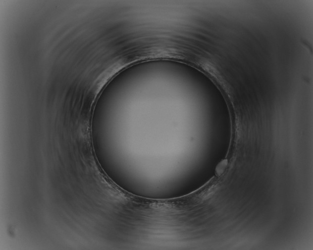 X0000101421089200807141149