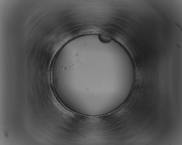 X0000101421090200807141149