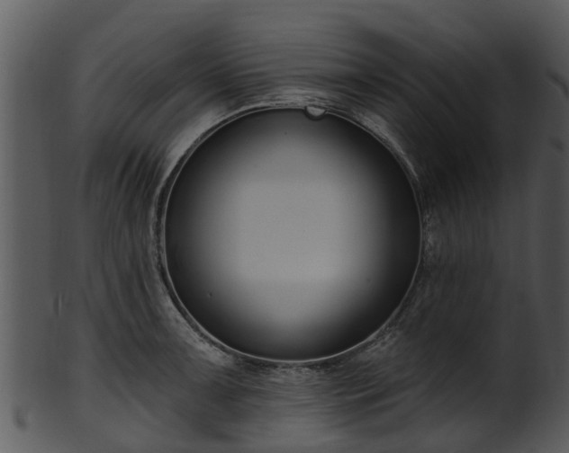 X0000101421091200807141149