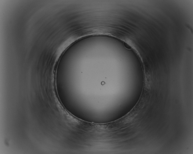 X0000101421096200807141148
