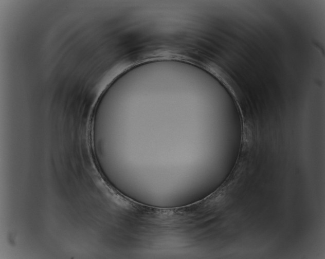 X0000101421098200807141148