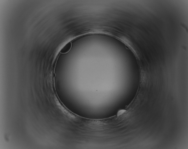 X0000101421100200807141148