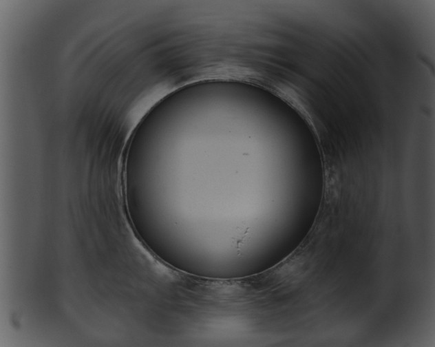 X0000101421103200807141148
