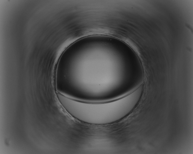 X0000101421104200807141148