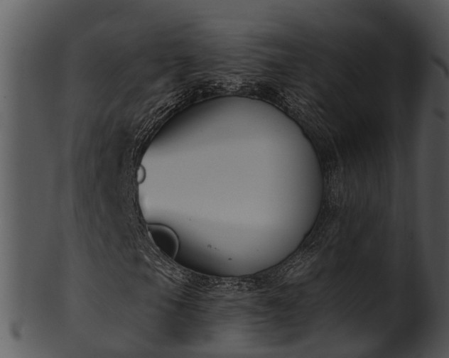 X0000101421105200807141147