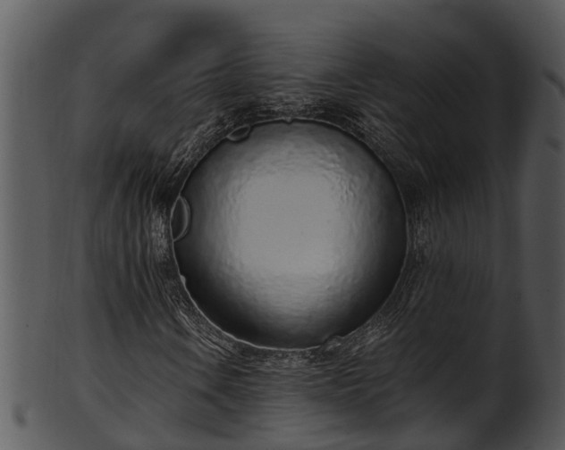 X0000101421106200807141147