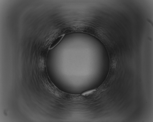 X0000101421108200807141148