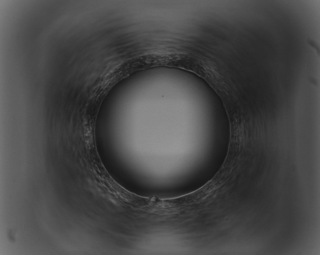 X0000101421109200807141148