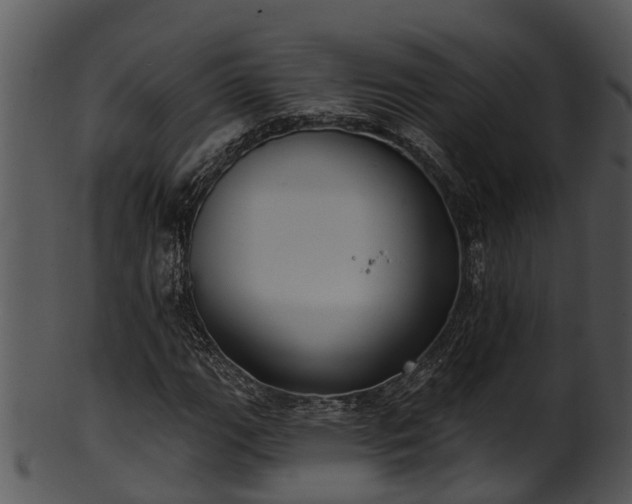 X0000101421111200807141148