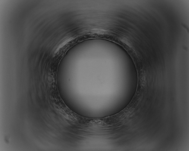 X0000101421112200807141148