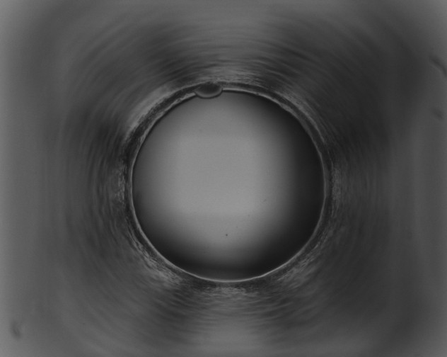 X0000101421115200807141148