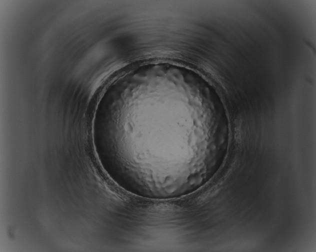 X0000101421117200807141148