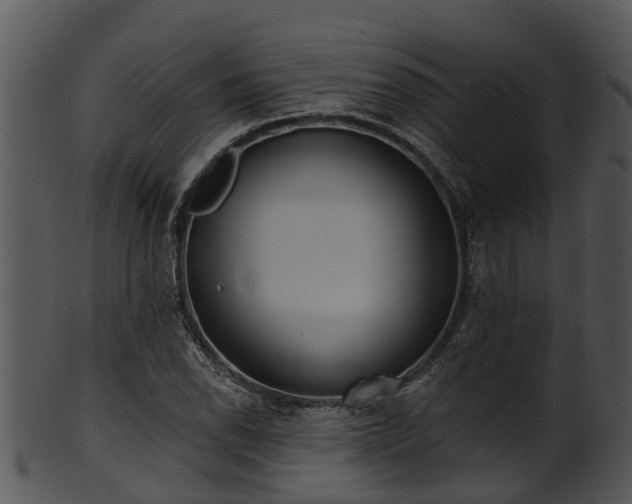 X0000101421118200807141148