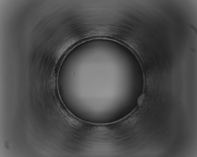 X0000101421119200807141148