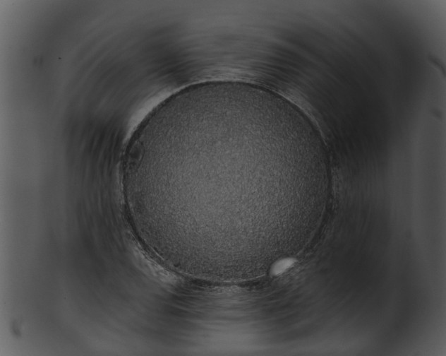 X0000101421120200807141148