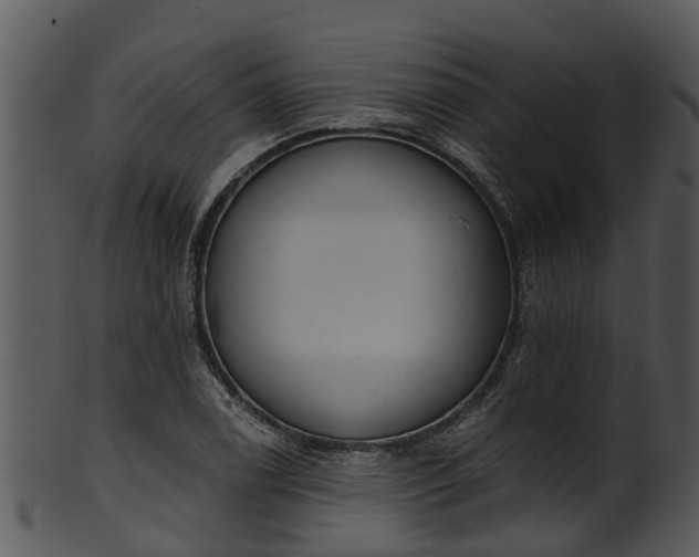 X0000101421122200807141148