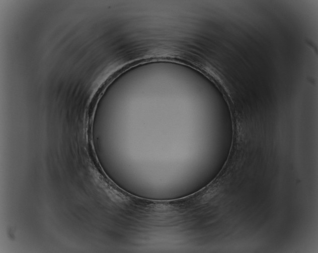X0000101421124200807141148