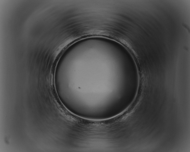 X0000101421125200807141148