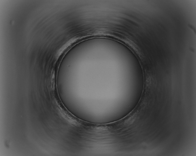 X0000101421126200807141148
