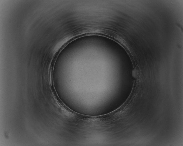 X0000101421127200807141148