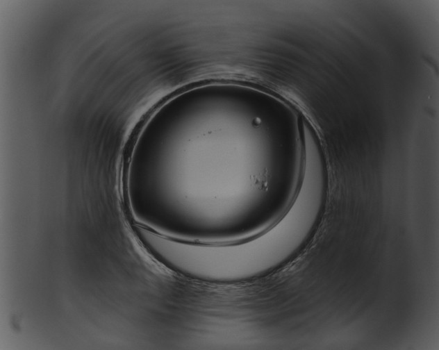 X0000101421128200807141148