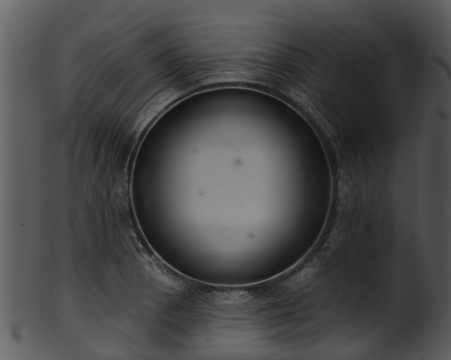 X0000101421129200807141148