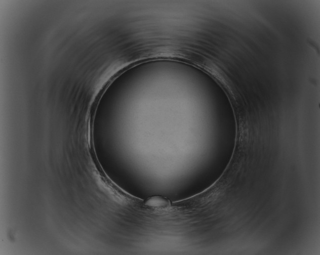 X0000101421132200807141148