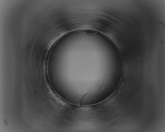 X0000101421134200807141148