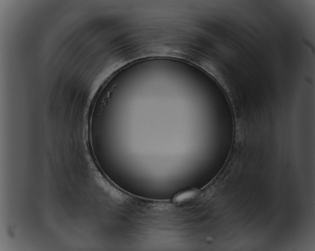 X0000101421136200807141148