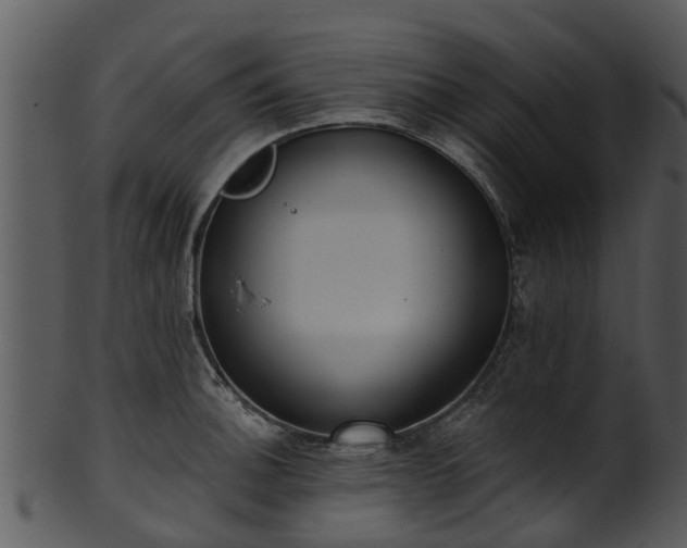 X0000101421140200807141148